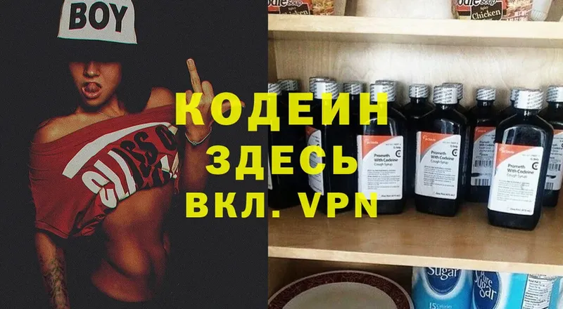 Кодеиновый сироп Lean Purple Drank  Томари 